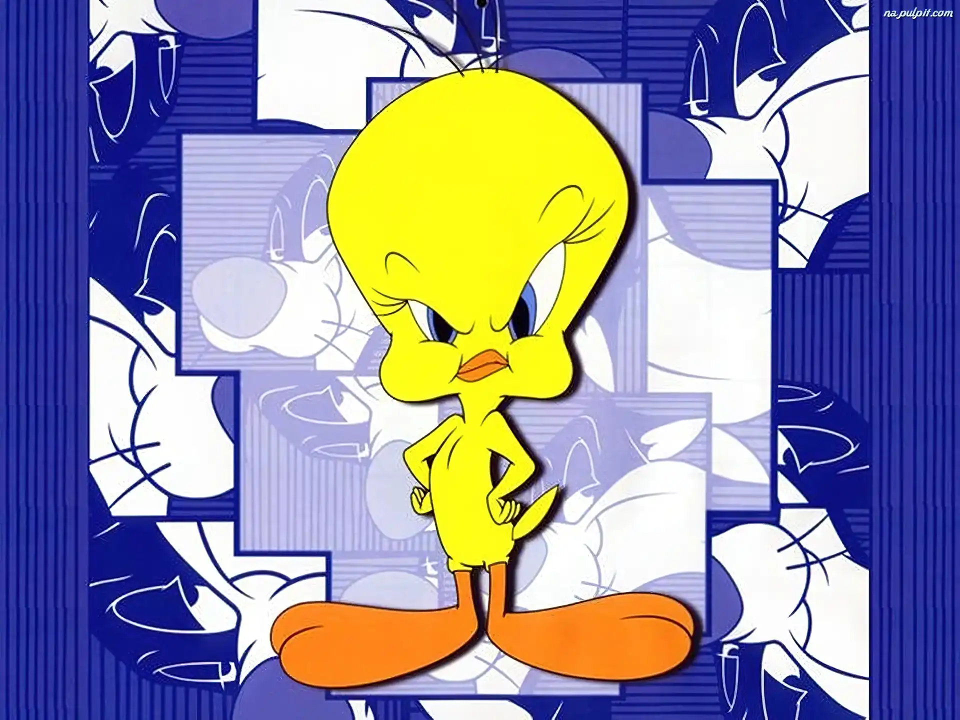 Z³y, Tweety